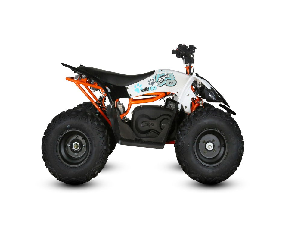 KAYO eA110 Electri ATV