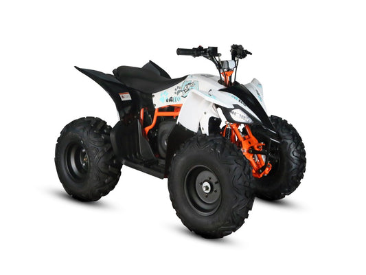 KAYO eA110 Electri ATV